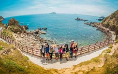 Chọn tour du lịch nào để tiết kiệm chi phí?