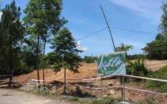 Tái khởi động dự án bãi đỗ xe sau 5 năm phát hiện mộ vợ vua Tự Đức ở Huế