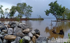 Cận cảnh đê biển Tây Cà Mau sau những ngày "sóng dữ"