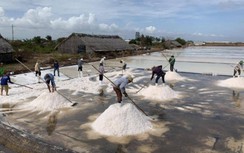 Xác lập kỷ lục chế biến hơn 100 món ăn từ tôm và muối Bạc Liêu