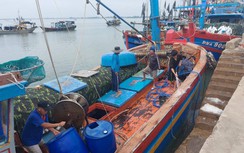 Xăng dầu giảm nhiệt, tàu cá vươn khơi