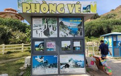 Chấm dứt hoạt động 2 dự án thuộc Tập đoàn FLC tại Bình Định