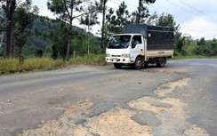 Hơn 440 tỷ đồng nâng cấp QL20 đoạn qua đèo Mimosa, tỉnh Lâm Đồng