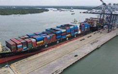 Cảng Quốc tế Cái Mép tiếp nhận tuyến dịch vụ mới đi Mỹ