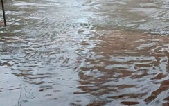 Nhiều tuyến đường, nhà dân ở Thái Bình ngập nặng, xe cộ đi lại khó khăn