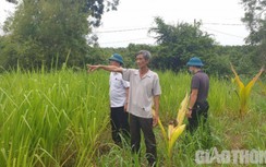 Các địa phương nào ở Hà Tĩnh đã trình thẩm định các khu tái định cư?