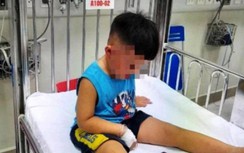 Hà Nam: Bé hơn 3 tuổi bị hàng xóm hành hạ, cho vào tủ cấp đông