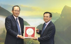 Petrovietnam muốn Singapore hỗ trợ phát triển lưới điện, công nghệ điện gió