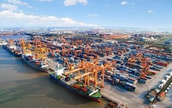 Hải Phòng đề nghị sớm lập BQL khai thác cảng biển, Bộ GTVT lên tiếng