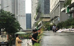 Thanh niên rơi từ tầng cao chung cư Ecohome 3 xuống, tử vong tại chỗ