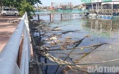 Chằng chịt dây neo tàu thuyền, bè nổi nhà hàng "bấu" ở lan can kè Nhật Lệ