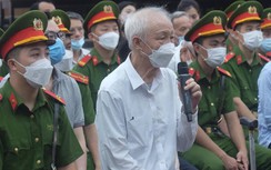 Đại gia Bình Dương xin cho con gái được hưởng chính sách hình sự đặc biệt