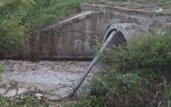 Xả thải gây ô nhiễm, doanh nghiệp bị phạt trên 900 triệu đồng