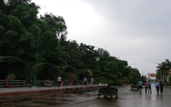 Vườn chim Cà Mau – điểm check in hấp dẫn du khách