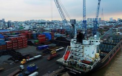 Hai cảng biển của Việt Nam lọt top bận rộn nhất thế giới