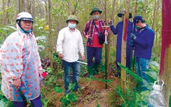 Đội mưa, ngủ rừng vẽ hướng tuyến cao tốc