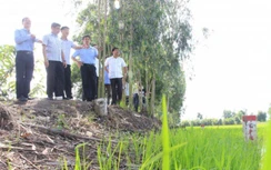 Khẩn trương tìm nguồn cát cho cao tốc đoạn Cần Thơ-Cà Mau