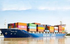 Các "ông lớn" vận tải biển đua nhau thêm lực cho đội tàu container