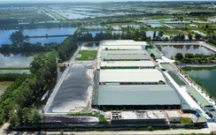 Dân phá đường, cắt lối đi phản đối trang trại lợn gây ô nhiễm môi trường