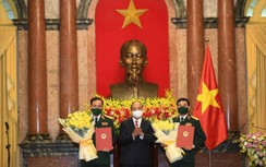 Bộ Chính trị, Ban Bí thư quyết định những chức danh cán bộ nào?