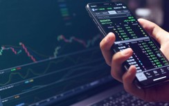 Hơn 20 triệu cổ phiếu FLC được gom mua trước ngày ngưng giao dịch