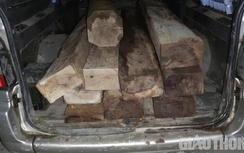 Gặp công an, tài xế chở gỗ lậu vội vứt ô tô, chạy vào rừng trốn