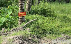 Sóc Trăng sẽ xử nghiêm cán bộ tiếp tay “thổi giá” đất, đón đầu dự án