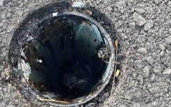 Bị can trộm nắp chắn rác trên cầu Thủ Thiêm 2 đối diện hình phạt nào?