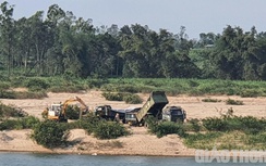 Quảng Ngãi bán đấu giá gần 4,2 triệu m3 cát, dự thu về hàng trăm tỷ