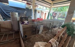 Nghịch lý chợ mới bỏ hoang, dân đổ ra đường họp chợ ở Hải Phòng