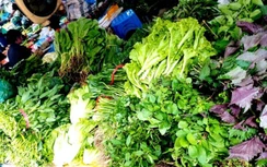 Giá xăng dầu giảm mạnh, vì sao hàng hóa tiêu dùng giảm “chẳng ăn thua”?