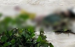 Phát hiện thi thể người đàn ông mắc vào hàng đáy ở Bạc Liêu