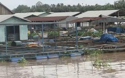 Bến Tre: Di dời 130 bè cá thi công cầu Rạch Miễu 2