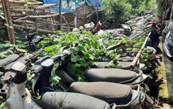 Xe vi phạm chất đống, thanh lý khó khăn