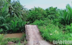 Thiếu niên bị cảnh sát đánh tới tấp ở Sóc Trăng: Bỏ chạy vì sợ bị bắt phạt