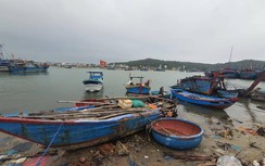 Quảng Ngãi chi 1.500 tỷ xây dựng cầu Trà Khúc mới