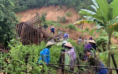 Nghệ An: Sạt lở khiến một nhà dân đổ sập, hàng chục nhà khác có nguy cơ cao
