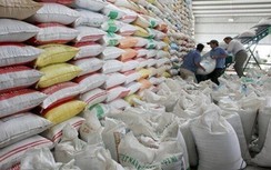 Ấn Độ cấm xuất khẩu gạo: Việt Nam bị tác động ra sao?