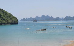 Tìm thấy thi thể mẹ và con trai 14 tháng kẹt trong khoang tàu đắm ở Vân Đồn