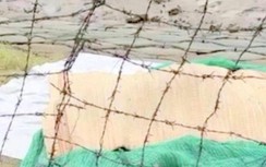 Bất cẩn rơi xuống biển, nam thuyền viên tử vong thương tâm