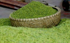 Rộn tiếng chày, làng cốm Mễ Trì vào vụ mới lớn nhất trong năm