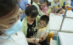 Nỗi lo nhiều bệnh dịch nối tiếp hoành hành