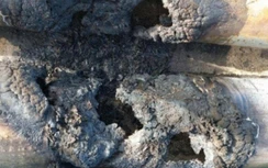 Đã khoanh vùng nhóm phá hoại ống dẫn cát dự án nhà ở mật độ cao ở Bạc Liêu