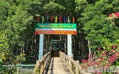 Bắt tạm giam nguyên Giám đốc Vườn quốc gia Mũi Cà Mau