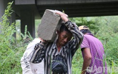 Công nhân lội bùn, vác bê tông cắm cọc vành đai 3 TP.HCM