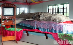 Cận cảnh bộ da cá Ông lớn nhất Việt Nam tại Bạc Liêu