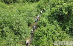 Gấp rút bàn giao ranh giới vành đai 3 TP.HCM