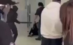 Điều tra vụ một học sinh bị nhóm bạn đánh gục bên hành lang giảng đường