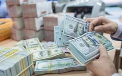 Tỷ giá USD hôm nay 12/10: Đồng loạt tăng giá