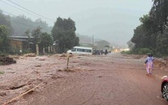 Tỉnh Gia Lai kiến nghị khắc phục đoạn đường hư hỏng trên Quốc lộ 19